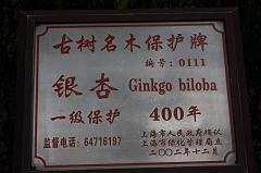 687-Shanghai,16 luglio 2014